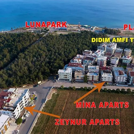 Camlik Zeynur * Ντιντίμ
